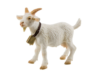 Boerderijdier geit