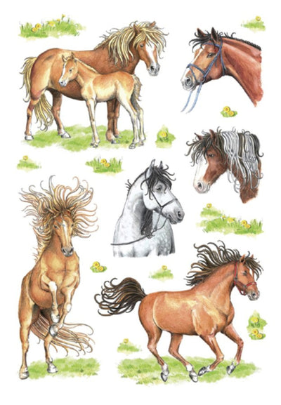 Etiket Herma getekende paarden