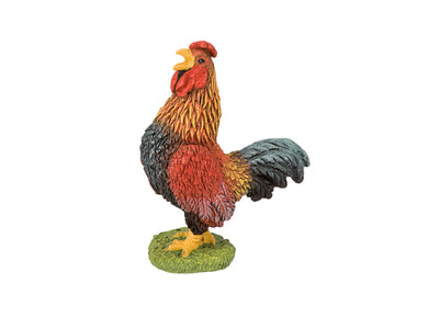 Boerderijdier haan