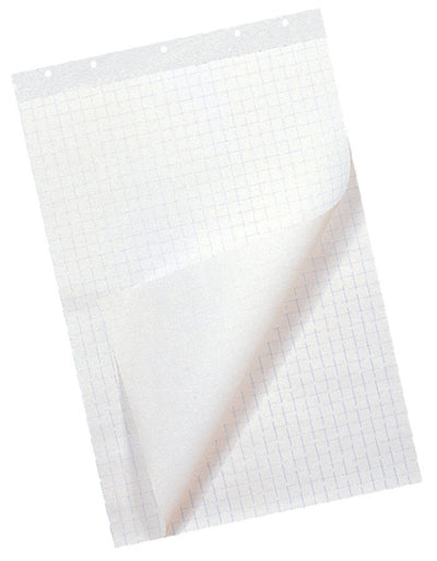 Flipoverpapier 65x98cm 50 vel ongevouwen 2 pak