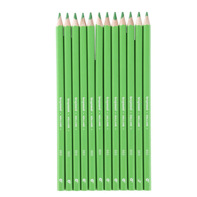 12 kleurpotloden Bruynzeel lichtgroen 960