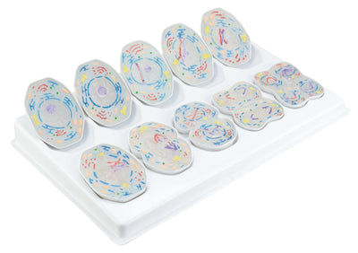 Meiose van dierlijke cellen - een model