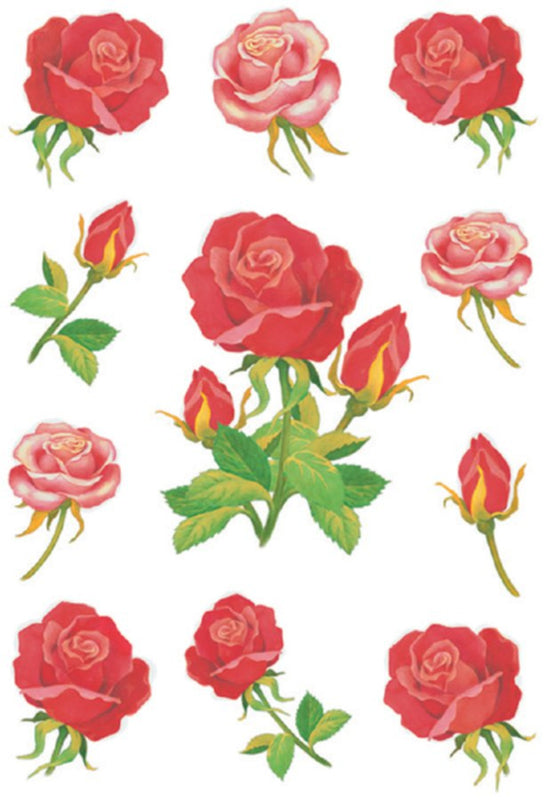 Etiket Herma rozen