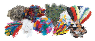 Veertjes assorti klassenpak 18-50 cm.