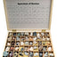 Set gesteente en mineralen