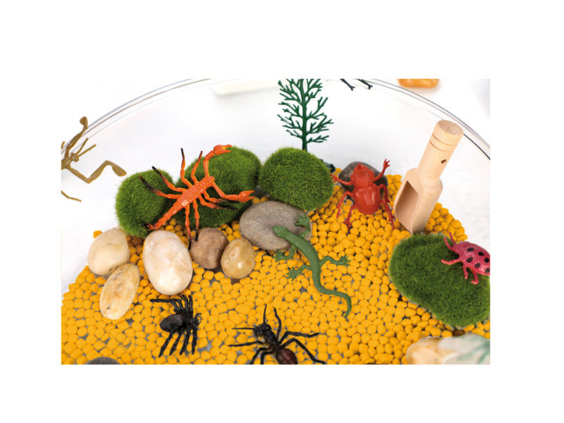 Sensor box dieren en planten