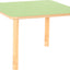 Vierkante Flexi tafel 80x80cm groen in hoogte verstelbaar