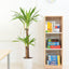 Quadro - L smalle kast met 2 planken