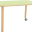 Rechthoekig Flexi tafelblad 120x80cm groen los