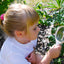 Groot vergrootglas met handvat