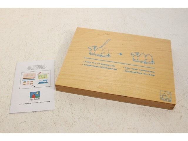 Oog-handcoÃ¶rdinatie