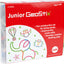 Junior Geo sticks 2