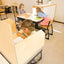 Study Buddy large