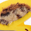 Sensorische applicatie 29,5x26,5cm - Kat