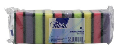 Schuurspons Felicia assorti 6x9cm 10 stuks