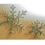 Chenilledraad 50 cm. metallic goud of zilver 100 stuks