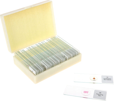 Set microscoopglaasjes zoÃ¶logische preparaten