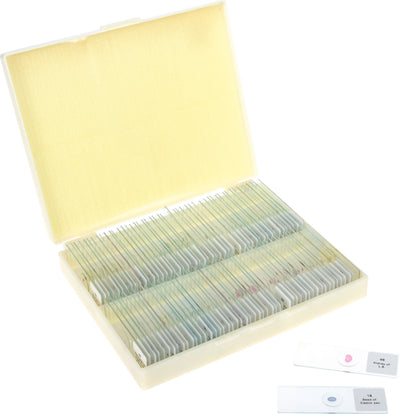 Set microscoop glaasjes 100 stuks