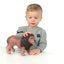 Reuze wilde dieren 5 dlg.