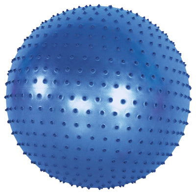 Sensorische bal 75 cm.