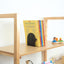 Boekenstandaards